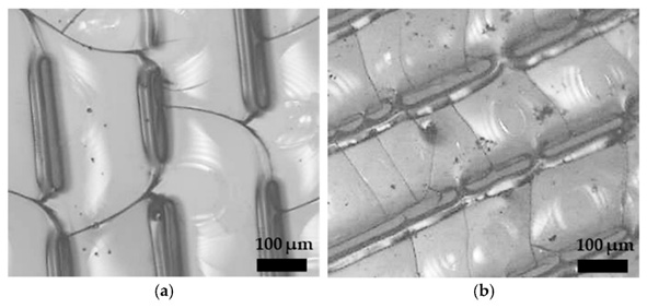 CO2 laser textured (a) 45s5 and (b) ICIE 16 bioactive glasses