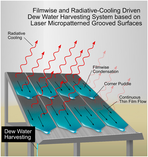 Autonomous water harvesting using laser textured materials