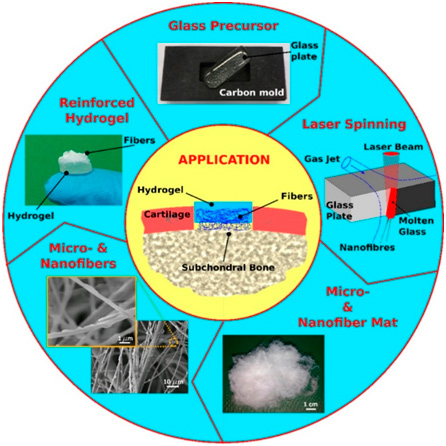 Production scheme of hydrogel/bioactive glass composites
