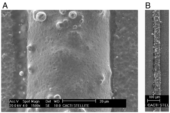 Micrograph of the surface of a track produced with laser microcladding